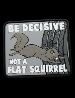 BE DECISIVE    Not a FLAT SQUIRREL