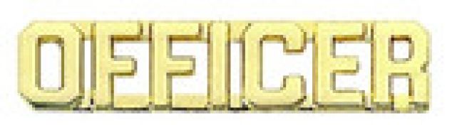 OFFICER COLLAR PINS 1/4" TALL - SOLD IN PAIRS.