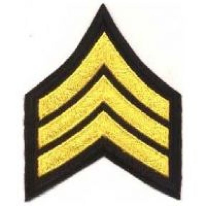 ARIZONA (AZ DOC) DEPARTMENT OF CORRECTIONS - SERGEANT (SGT) CHEVRONS - SOLD in PAIRS.