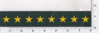STAR HASH MARKS - 5/8" - MEDIUM GOLD on SPRUCE GREEN FELT - SEW ON.
