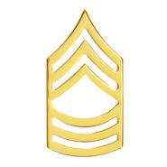 Sergeant Pin Dave's Uniforms, LLC - MASTER SERGEANT 1.5