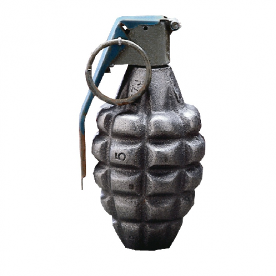 Pineapple Hand Grenade - "Dummy" - Only Used for Training.