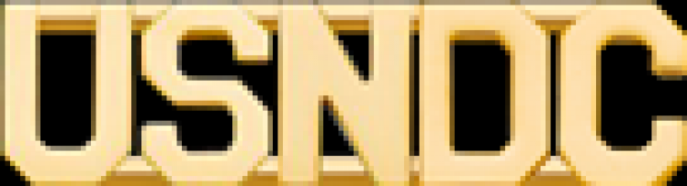 C501S 5 LETTER - USNDC - COLLAR PINS - SOLD IN PAIRS.